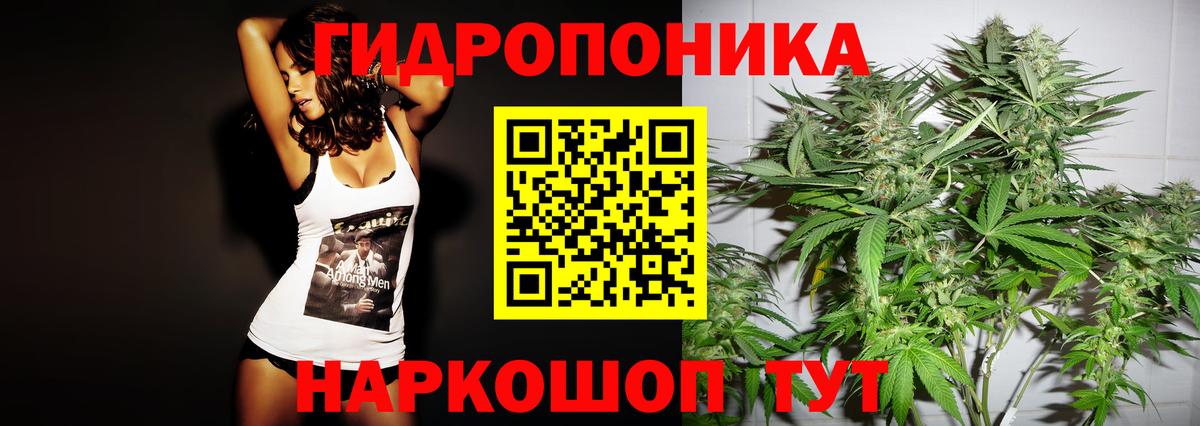 Бошки Шишки AK-47  Вход с VPN  Усолье-Сибирское  Каннабис Bruce Banner  МАРИХУАНА OG Kush 